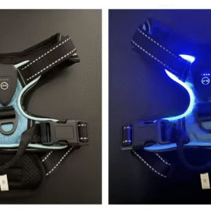 Harnais Chien Lumineux LED