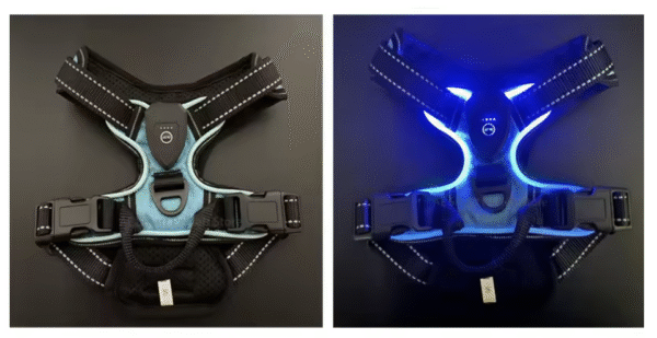 Harnais Chien Lumineux LED