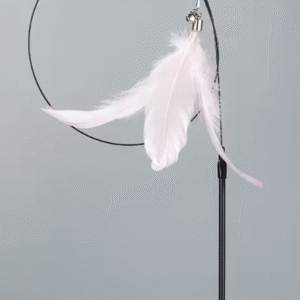 Jouet pour chat Arc en ciel