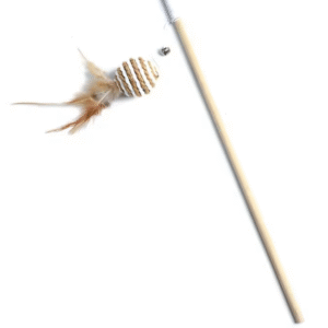 Jouet pour chat à plume