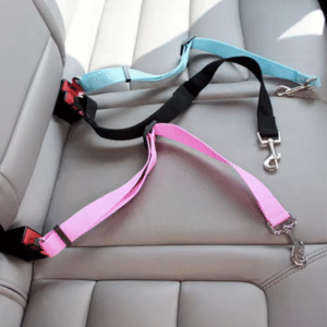 Ceinture de sécurité pour animaux