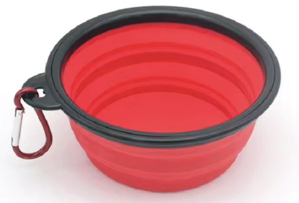 Bol pliable en silicone