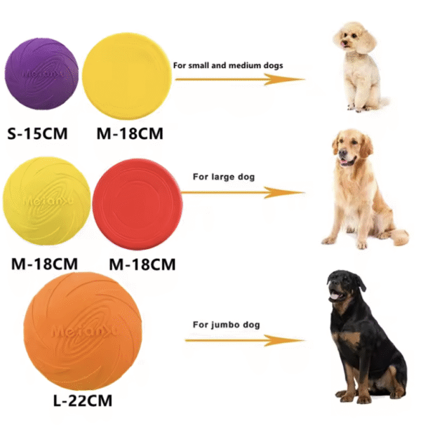 Frisbee pour chien